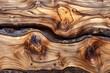 A piece of wood has been cut in half, revealing its inner texture