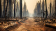 Aftermath of a forest fire, charred trees and smoldering ground, a stark reminder of the destruction caused by wildfires