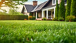 © hardvicore - Close-up of green lawn with blurred house in the background. Backyard landscaping.