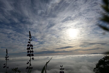 clouds and sky