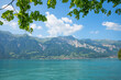 view over lake Brienzersee, tourist resort Brienz at the opposite site, linden tree branches