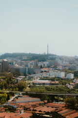 Wall Mural - view of the city