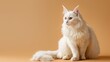 High-Definition Visual of a White Tomcat Poised on a Warm Beige Background, Ideal for Luxury Pet Branding