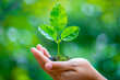 Hand nurturing a young plant, symbolizing personal action for environmental conservation