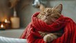 Holiday Cat with Red Scarf Relaxing on Bathroom Vanity Morning Greetings Idea
