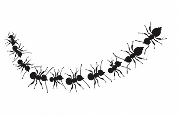 ants trail line of working ants on white background vector icon, white background, black colour icon
