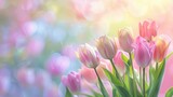 Fototapeta Tulipany - Blooming tulips in soft pastel shades - Dreamy image of delicate tulips against a pastel bokeh background, evoking feelings of spring and renewal
