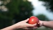 Cute little kid hand giving fresh red apple to mother woman arms caring and love outdoor closeup. Female taking appetizing ripe organic vitamin fruit from child enjoy motherhood parenthood summer park