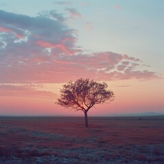 Wall Mural - Vivid sunset over a sparse landscape with a single tree.