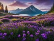 scenic panorama view of a field purple with blue lake  at sunrise in the mountains