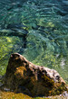 Montreux, Switzerland, September 05 2020 : a close up of the crystal clear water and and a rock of the mountain and glacier lake of Geneva
