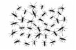 swarms of flying mosquitoes illustration vector icon, white background, black colour icon