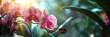 Vivid pink orchid flower blooming in sunlit garden, delicate petals shining in the sunlight