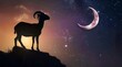 Goat or sacrificial sheep silhouette on dark night evening stars sky background. Eid Al Adha Mubarak, Eid Al Adha festival symbol. For banner, card, poster,  with  place for text.