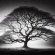 Silhouette of a tree in the fog. Black and white 