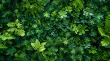 Top View Of A Lush Forest Landscape, Verdant Canopy Creating A Vibrant Texture, AI Generative