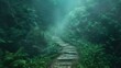 pathway through a misty forest