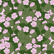 Azalea. Pink flowers and green leaves isolated on a pink background. Dense seamless pattern. Flat style.  Background for textile, paper, cover, dishes, interior decor. 
