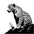 creative beautiful leopard sits on rock