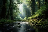 Fototapeta Natura - A stream meanders through a dense, verdant forest under the morning sunlight. Generative AI