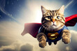superhero cat on the sky