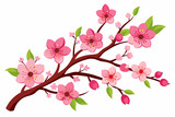 Fototapeta Storczyk - plum-blossom-vector illustration-white-background