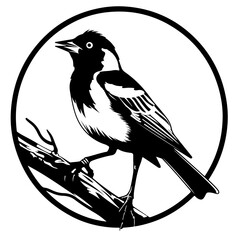 Sticker - Baltimore Oriole