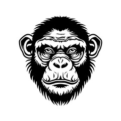 Canvas Print - Serious monkey face