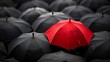 © Otseira - A red umbrella among a crowd of black umbrellas - Concept of success, of being special as a leader, with its own identity, having a difference, new ideas and special skills among the others