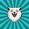 Happy arctic fox head. Funny cartoon happy arctic fox with yellow eyes head