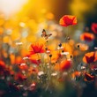 Summer's Poppies: Blooms and Butterflies in Morning Light. Beautiful natural landscape with blooming field of poppies, sunlight and bokeh., fine details, Illustration