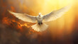 Beautiful white dove spreads its wings and flies in the sun