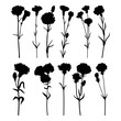 Carnation flower silhouette stencil templates