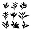 Tea tree leaves silhouette stencil templates