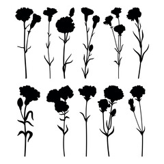 Carnation flower silhouette stencil templates