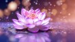© Hassan - Glowing lotus wallpaper