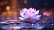 © Hassan - Glowing lotus wallpaper