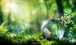 An magical forest with lush vegetation and sunlight peeping through the trees, with a glass globe perched on the grass