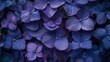  petals boast purple hue, green leaves crown top and base