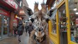   A tight shot of a giraffe's face, gazing at a storefront People stroll past on the sidewalk outside