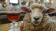   A tight shot of a sheep gazing at a glass of wine on a table, the beverage within arm's reach