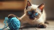 Sparkling Blue Eyes of Mischief A Siamese Cat Playfully Batting a Tethered Toy Yarn
