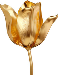 Wall Mural - golden tulip,tulip flower made of gold isolated on white or transparent background,transparency 