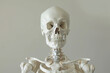A detailed HD image of a human skeleton, anatomically accurate and gracefully posed.