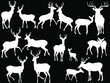 fifteen deer silhouettes isolated on black