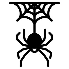 spider with spider web