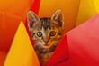 Curious kitten amidst colorful paper