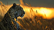 A Leopard Sitting in Tall Grass at Sunset
