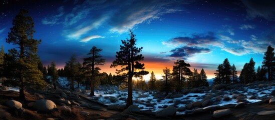 Poster - Starry night sky with trees in foreground