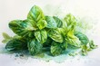 Refreshing Peppermint: A sprig of peppermint with its vibrant green leaves and cool, minty aroma, painted in a realistic watercolor style with crisp lines and subtle water stains on a white background